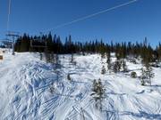 Freeridegebiete neben den Pisten