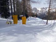 Tipp für die Kleinen  - Kinderpiste Buffaure