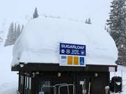 Reichlich Naturschnee in Alta