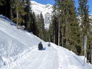 Tipp für die Kleinen  - Rodelbahn Ladurns