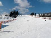 Die leichte Piste von Witów