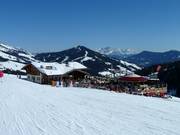Berghütten Tipp Tiergarten Alm