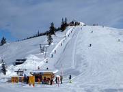 Laubkogel - Tellerlift