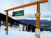 The School Yard Terrain Park für Familien am Emerald Chair