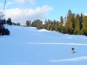 Breit und leicht: The Cut