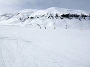 Auf der leichten und breiten Piste am Ciampac können die Anfänger üben
