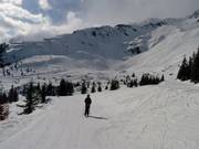 Blick auf die Pisten von Le Brévent