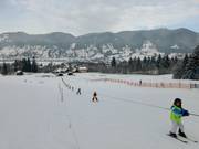 Altweglift - Seillift/Babylift mit niederer Seilführung