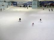 Die Piste im oberen Teil