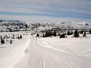 Petterheisen - Tellerlift