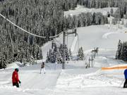 Palette - Tellerlift