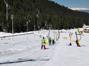 Panica B - Tellerlift