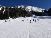 Großzügiges Anfängerareal Kaserwald