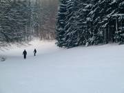 Leichte Abfahrt am Hirtenteichlift