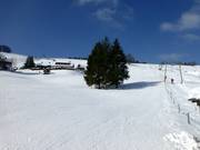 Breite Abfahrt am Rosshang