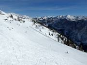Blick auf die Hänge an der Loser Alm
