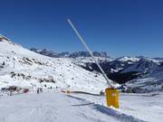 Schneilanze in Arabba