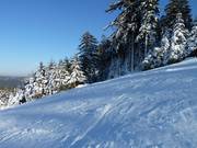 Präparierte Piste am Mehliskopf