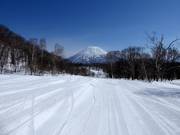 Leichte Piste zum Niseko Village