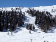 Buckelpisten beim Speiereck