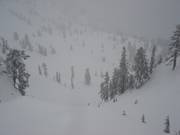 Abfahrt Upper International