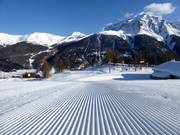 Perfekte Pistenpräparierung im Skigebiet Zuoz