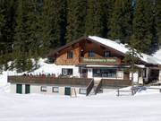 Genussspecht-Wirt Märchenwies'n Hütte auf der Planai