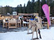 Après-Ski Tipp Gamsstadl