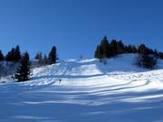 Schwarze Piste Arvenegg