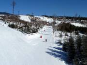 Leichte Pisten dominieren im unteren Bereich des Skigebiets