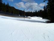 Leichte Piste Flower Basin