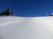 Sehr gute Pistenpräparierung am Arber