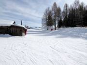 Übungspiste mit Tellerlift am Buffaure