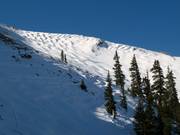 Steile Buckelpisten in der Pallavicini Bowl
