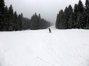 Mittelschwere Piste am Schlepplift