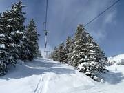 T-Rex T-Bar - Schlepplift mit T-Bügel/Anker