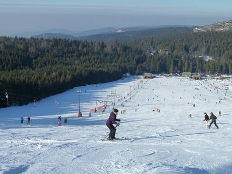Skigebiete für Anfänger in der Ferienregion Bühl-Bühlertal – Anfänger Mehliskopf