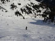 Piste Nr. 52 Kandahar-Galzig