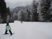 Oberer Teil der Piste