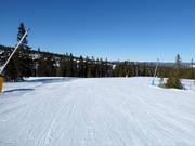 Leichte Piste Nr. 43