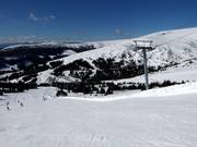 Blick von der Piste Almrausch