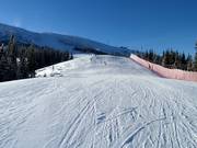 Blick zum Gipfel Chopok