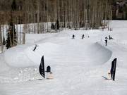 Lowdown Park & Halfpipe