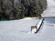 Ideal für Kinder: Pony Express Förderband