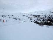 Leichte Familienpiste