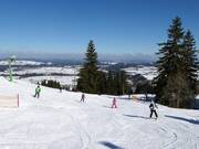 Leichte Kronen-Abfahrt