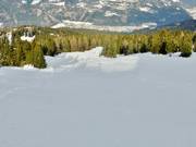 Rote Piste Mittlere Abfahrt