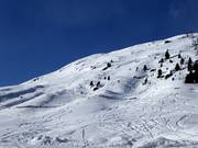 Tiefschneehänge bis in den Ort Vent