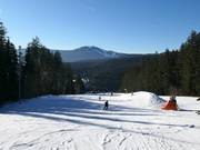 Leichte Piste in Nad Nádražím