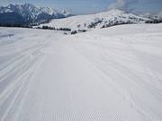 Die Wiesenhänge erleichtern die gute Pistenpräparierung